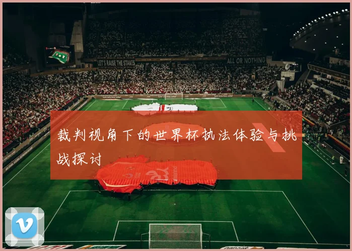 裁判视角下的世界杯执法体验与挑战探讨