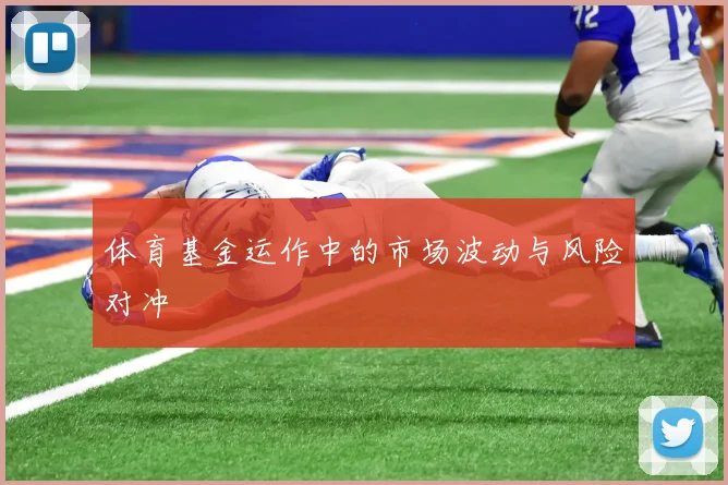 体育基金运作中的市场波动与风险对冲