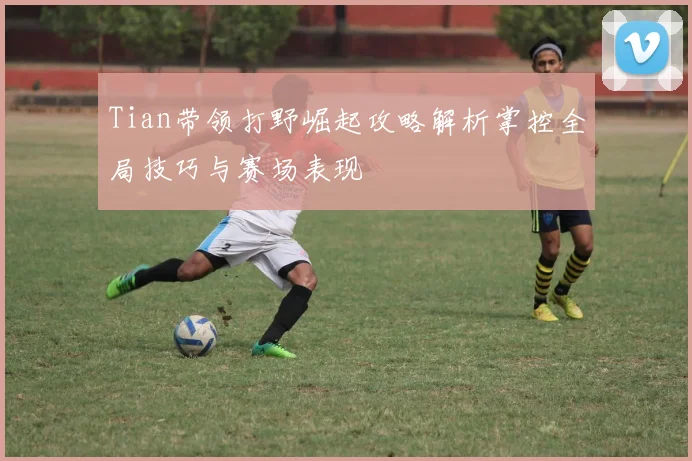 Tian带领打野崛起攻略解析掌控全局技巧与赛场表现
