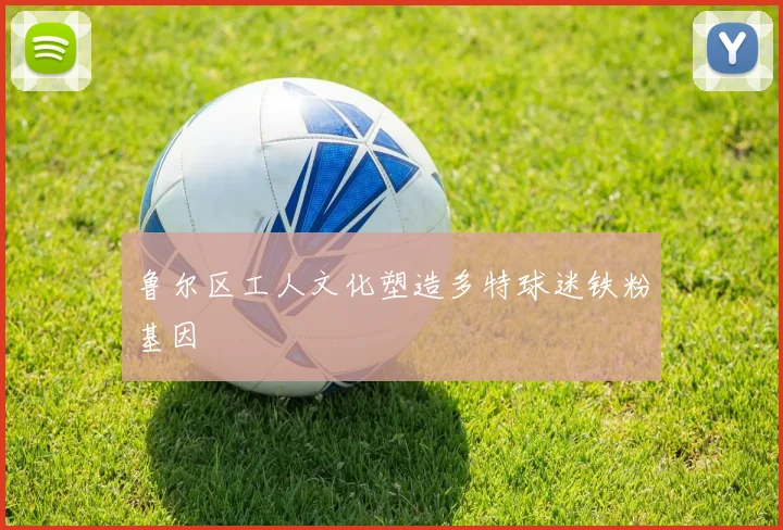 鲁尔区工人文化塑造多特球迷铁粉基因