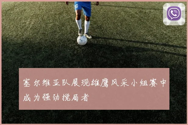 塞尔维亚队展现雄鹰风采小组赛中成为强劲搅局者