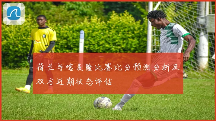 荷兰与喀麦隆比赛比分预测分析及双方近期状态评估
