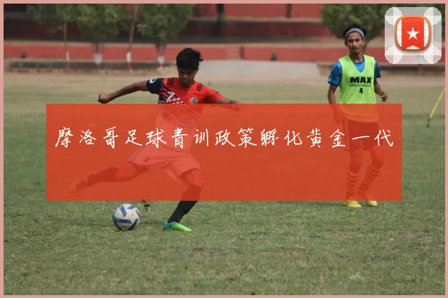 摩洛哥足球青训政策孵化黄金一代