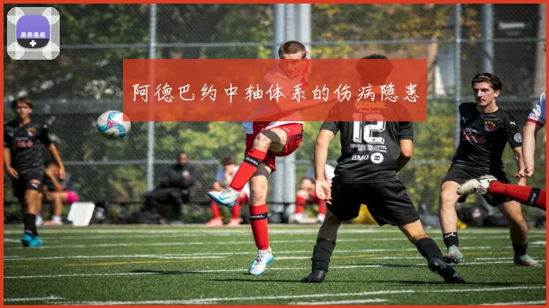 阿德巴约中轴体系的伤病隐患